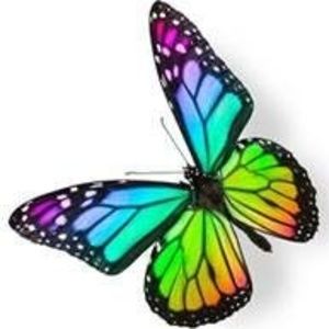 Meet your Posher, Norma